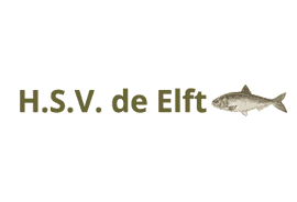 HSV de Elft